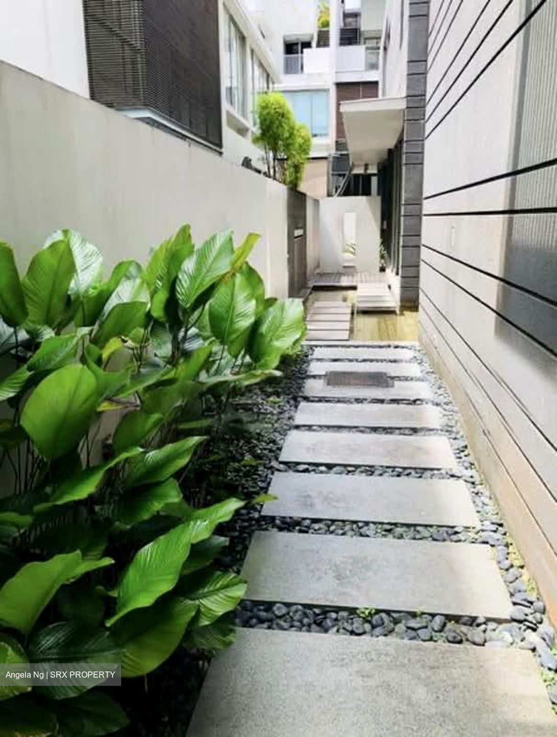 Duchess Avenue (D10), Semi-Detached #539943501